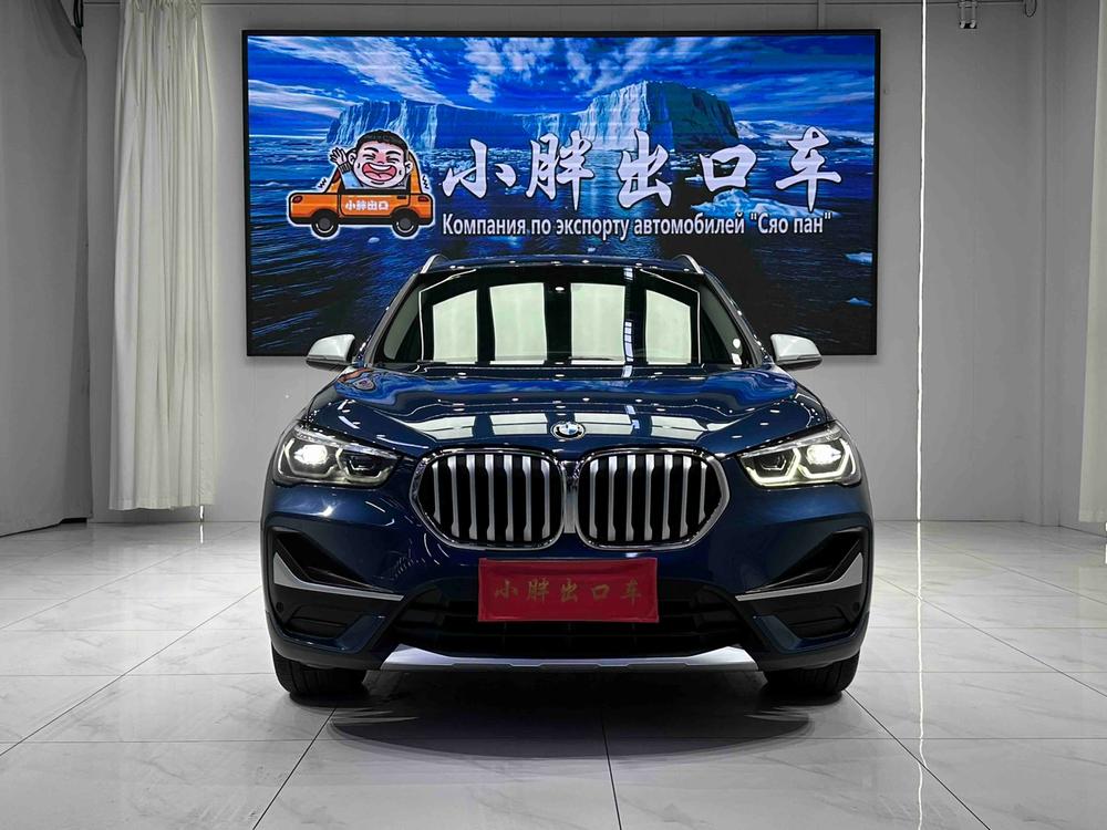 BMW BMW X1