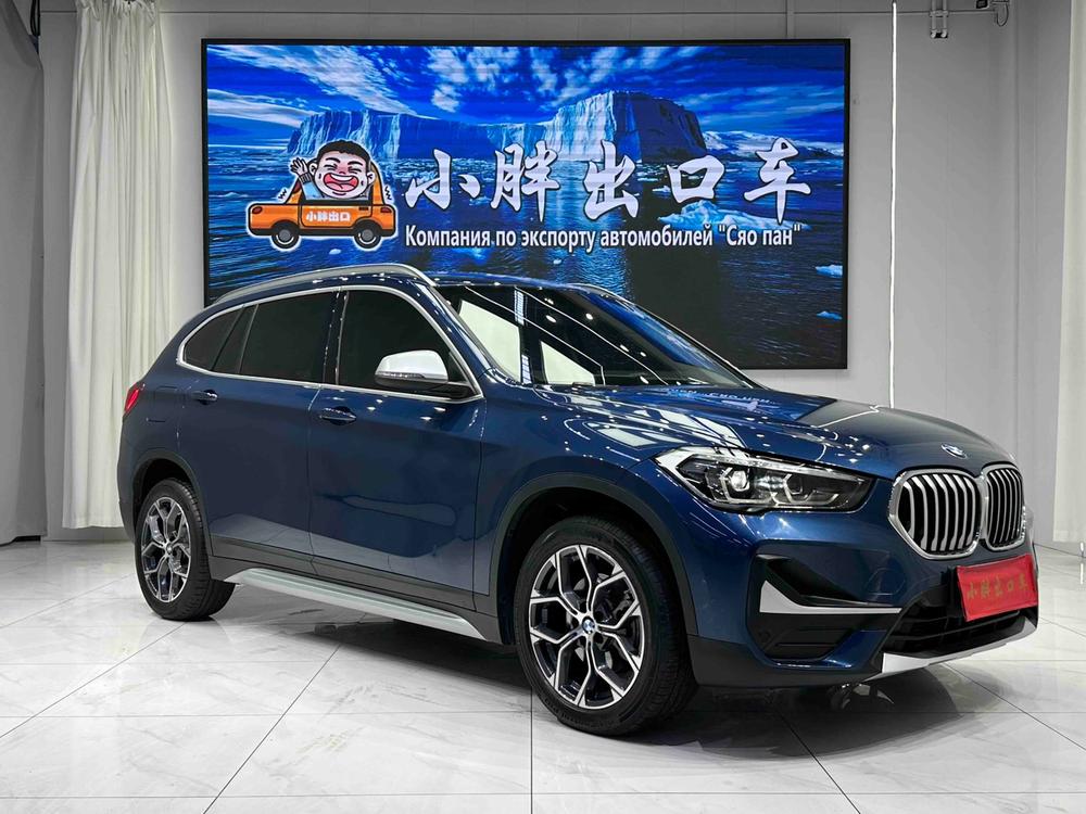 BMW BMW X1