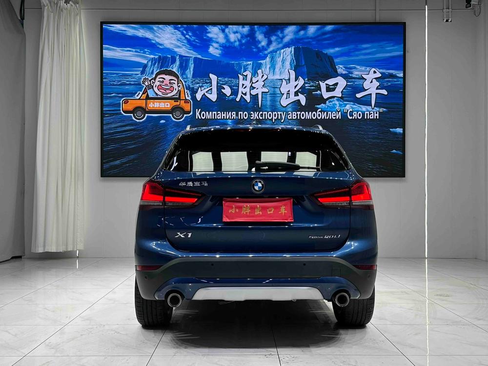 BMW BMW X1