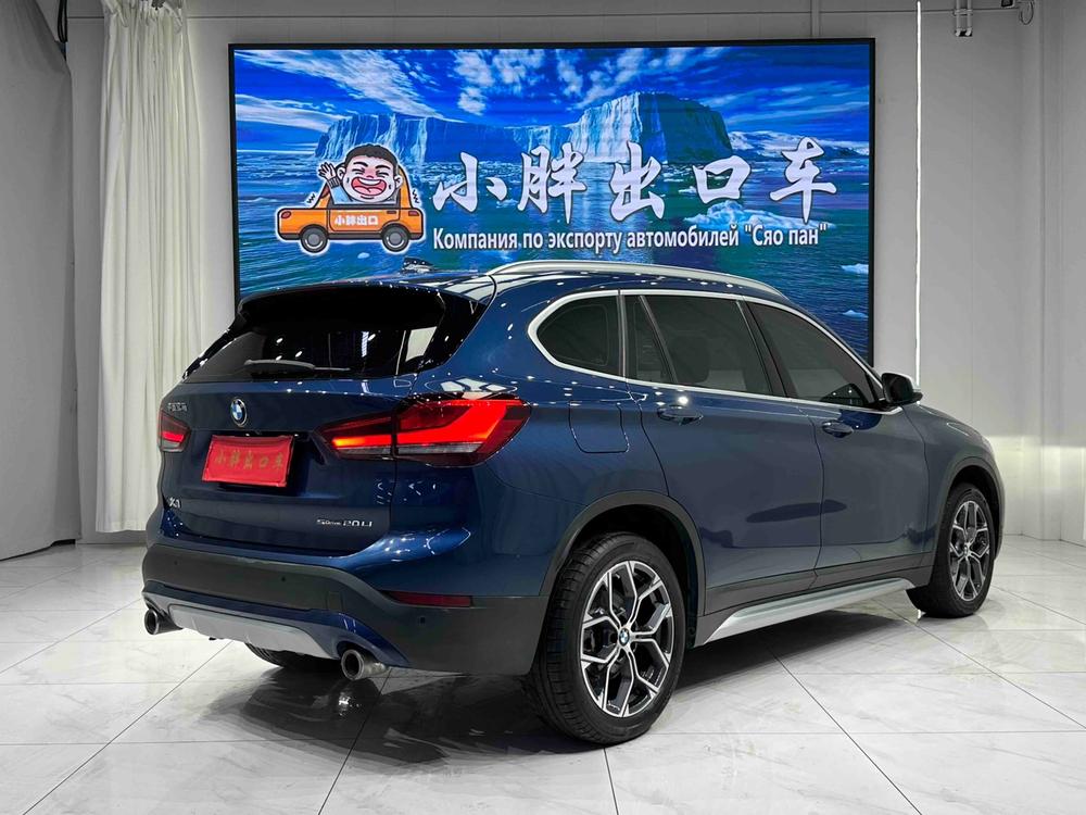 BMW BMW X1