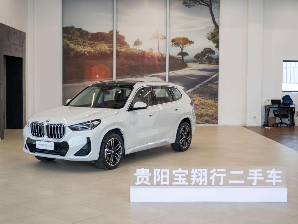 BMW BMW X1