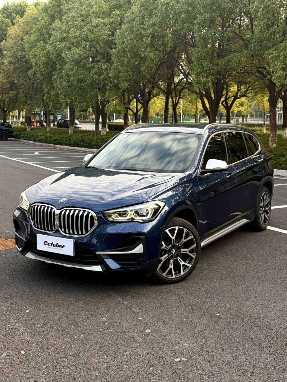 BMW BMW X1