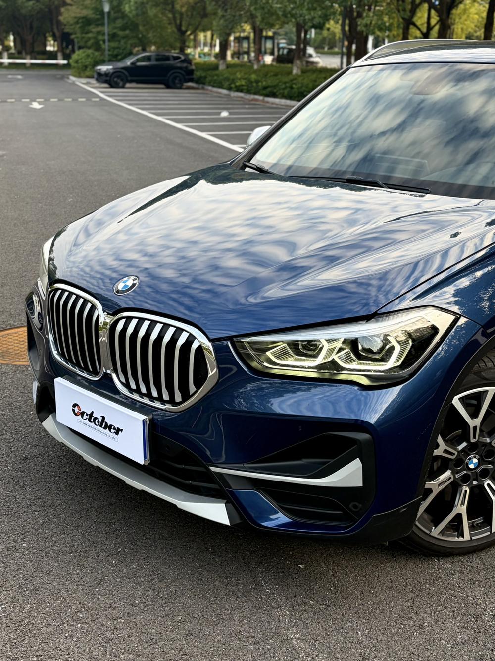 BMW BMW X1