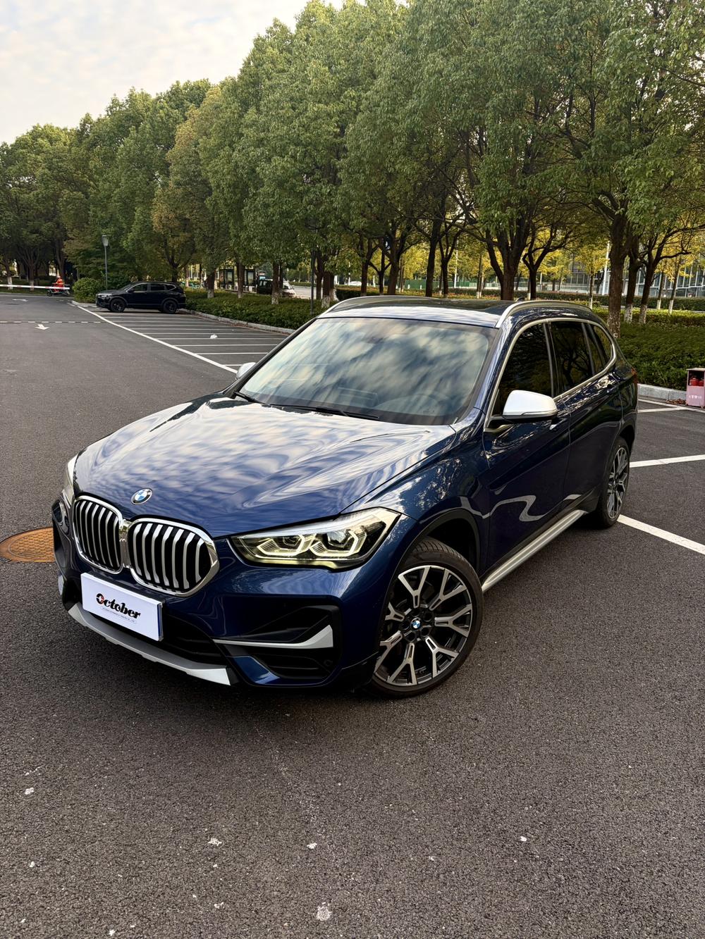 BMW BMW X1