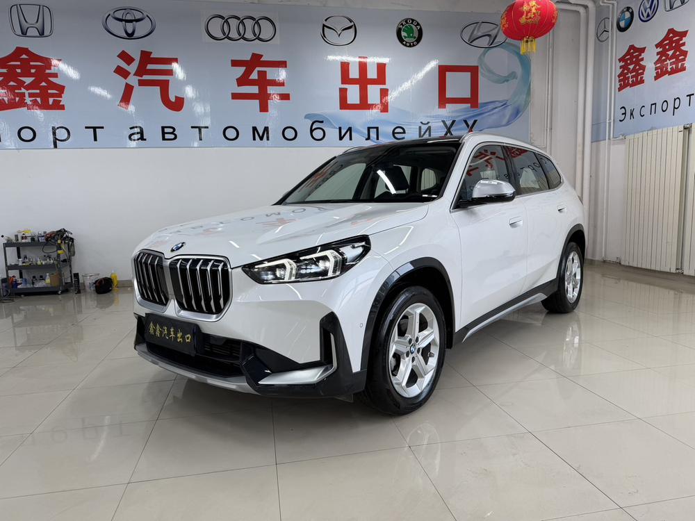BMW BMW X1