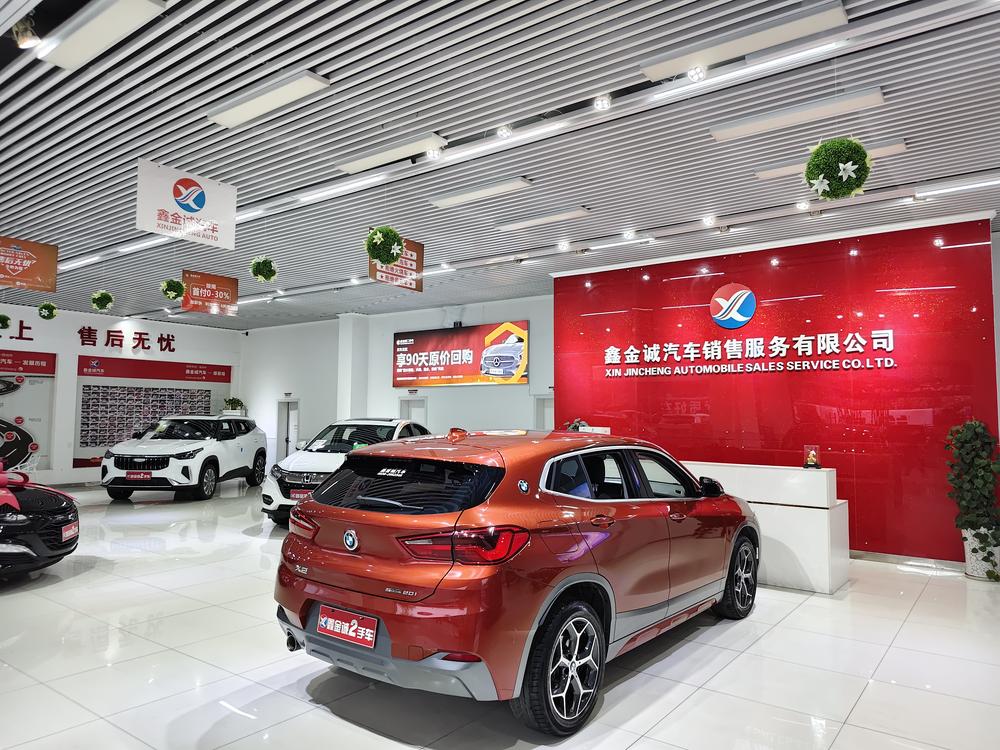 BMW BMW X2 (Import)