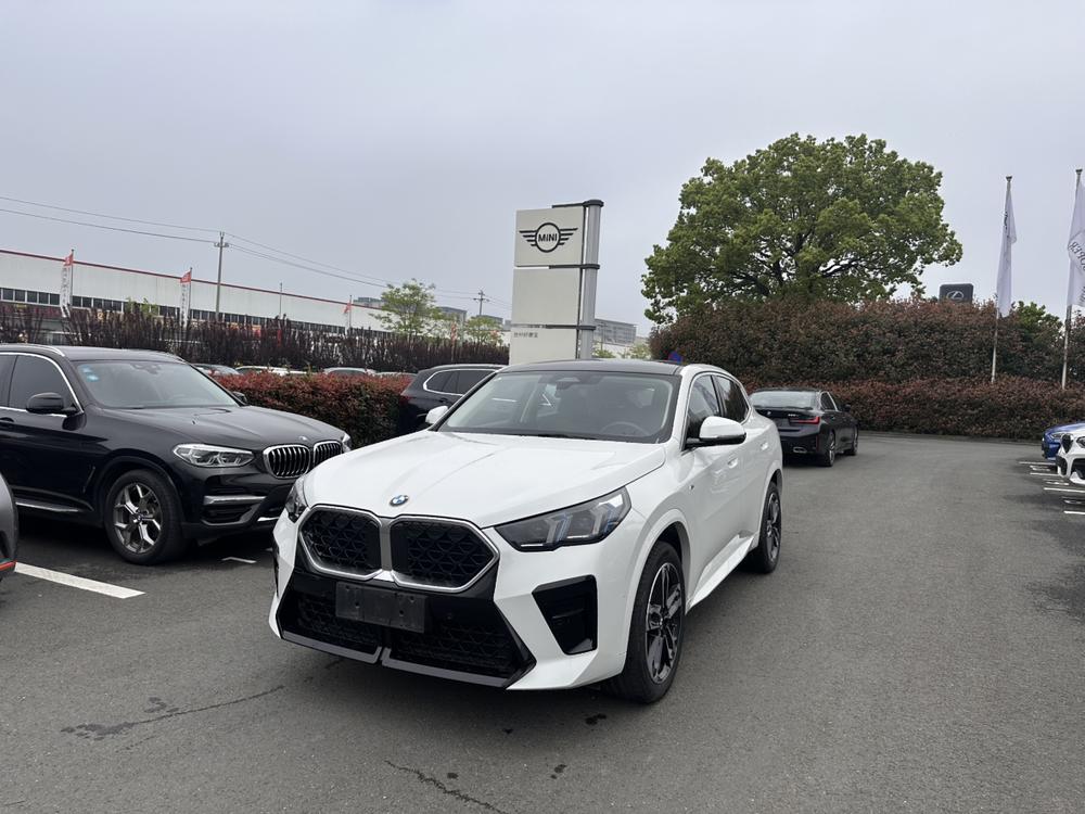 BMW BMW X2 (Import)