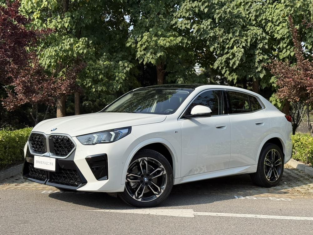 BMW BMW X2 (Import)