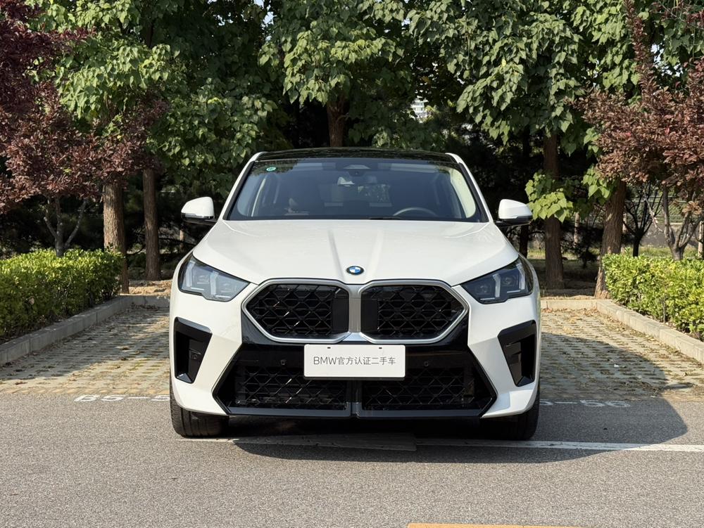BMW BMW X2 (Import)