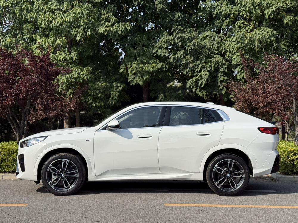 BMW BMW X2 (Import)