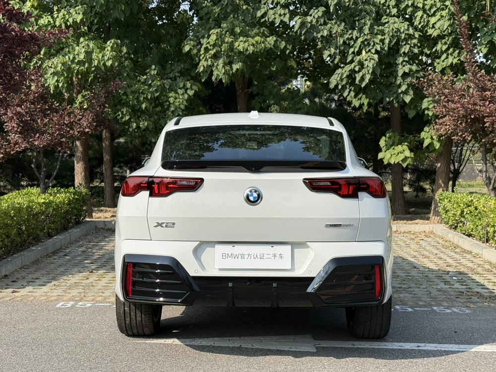BMW BMW X2 (Import)