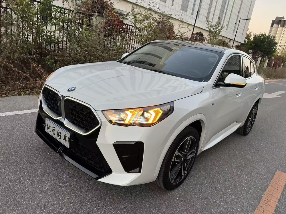 BMW BMW X2 (Import)