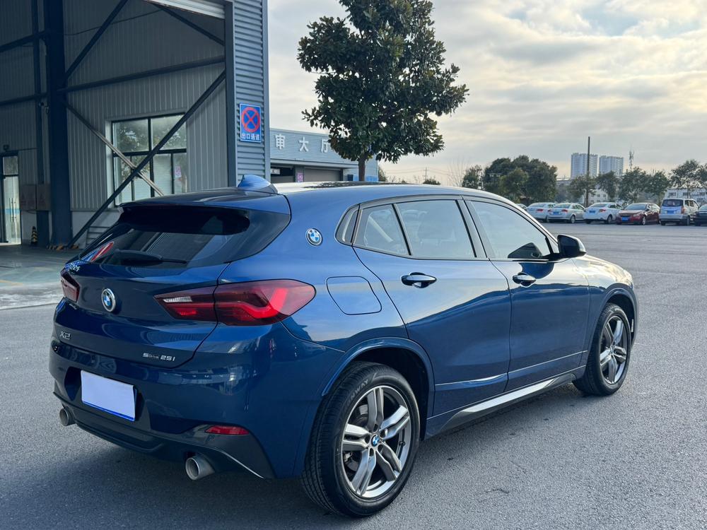 BMW BMW X2