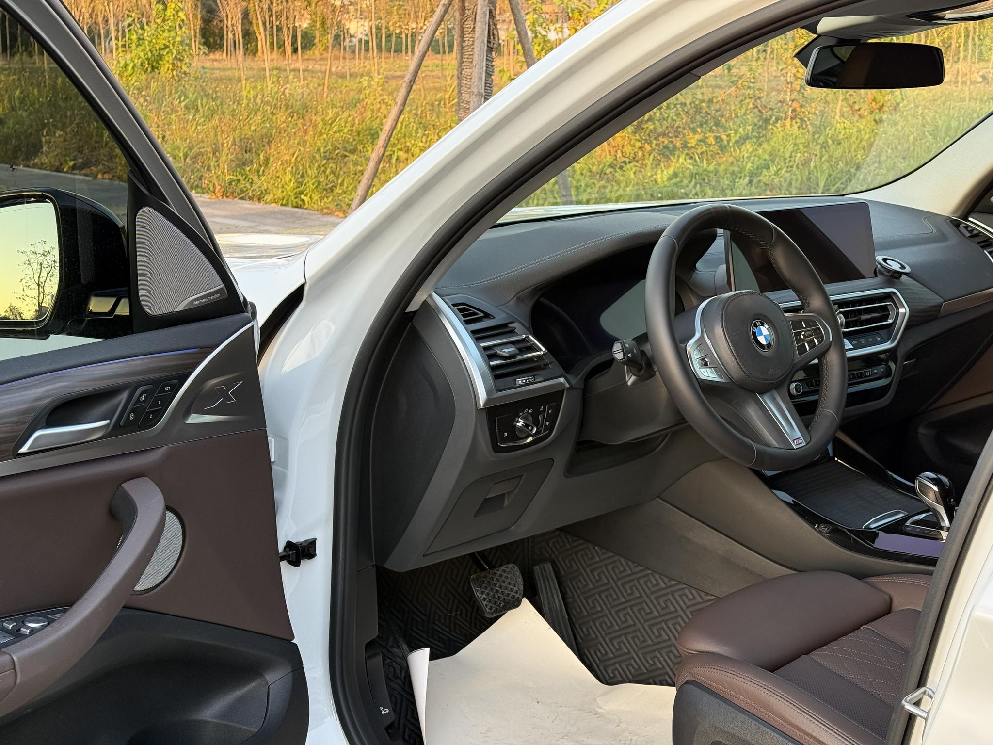 BMW BMW X3
