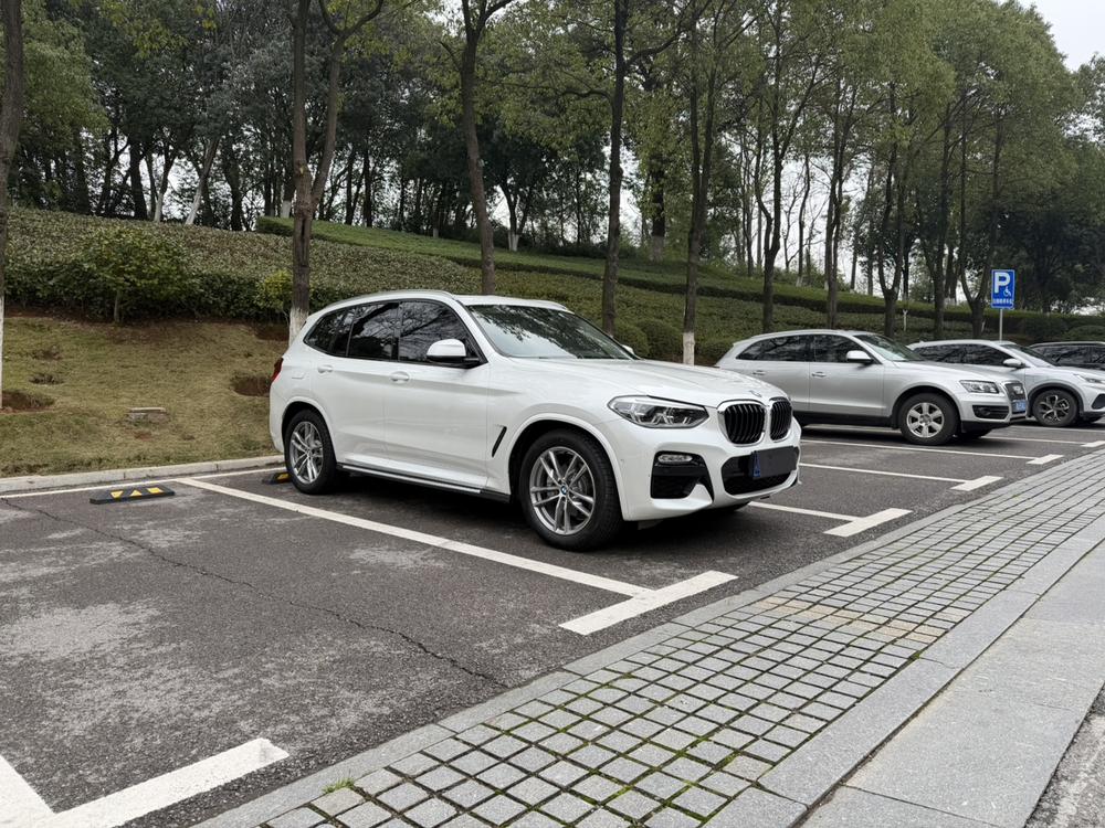 BMW BMW X3