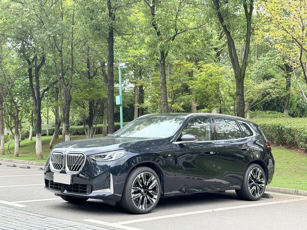 BMW BMW X3