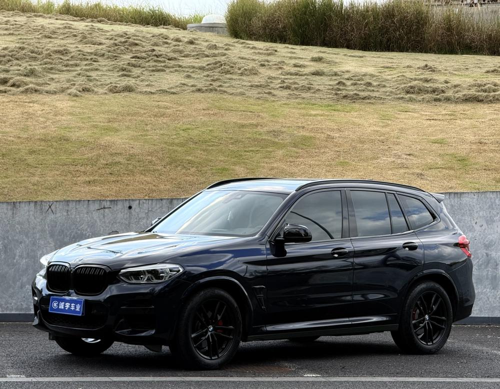 BMW BMW X3