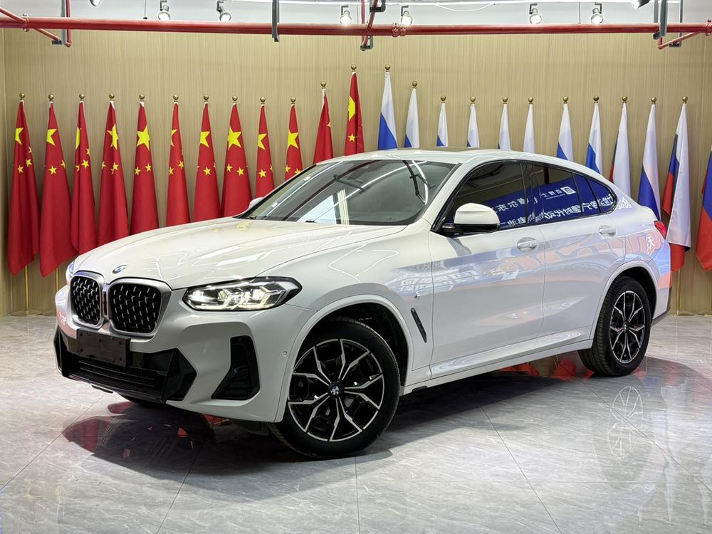 BMW BMW X4
