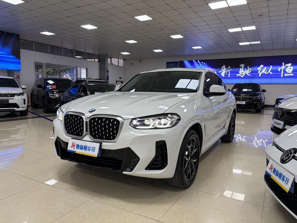 BMW BMW X4