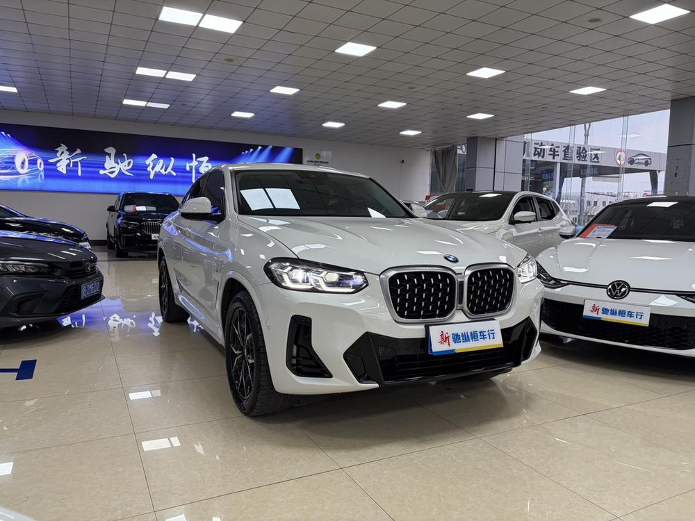 BMW BMW X4