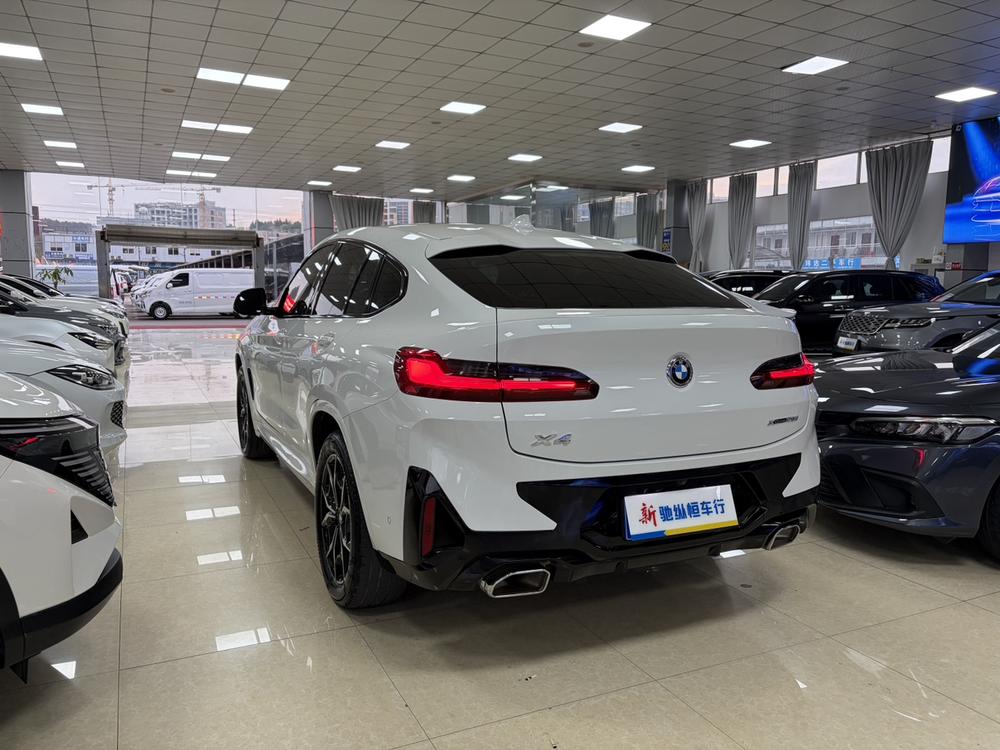 BMW BMW X4