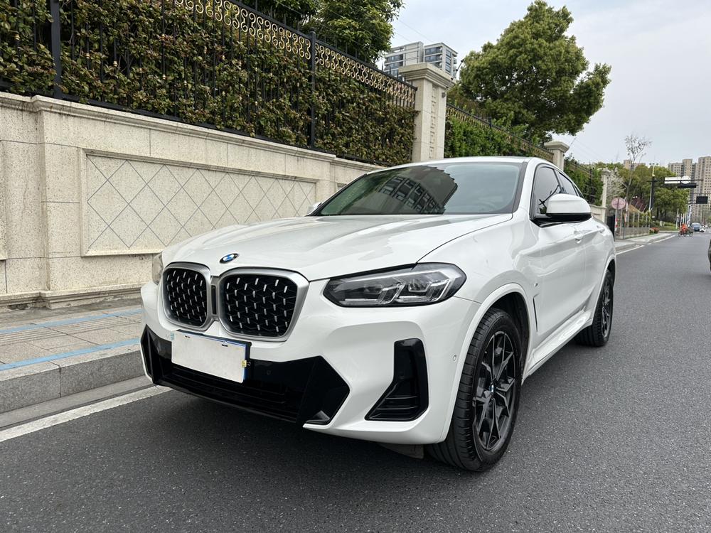 BMW BMW X4
