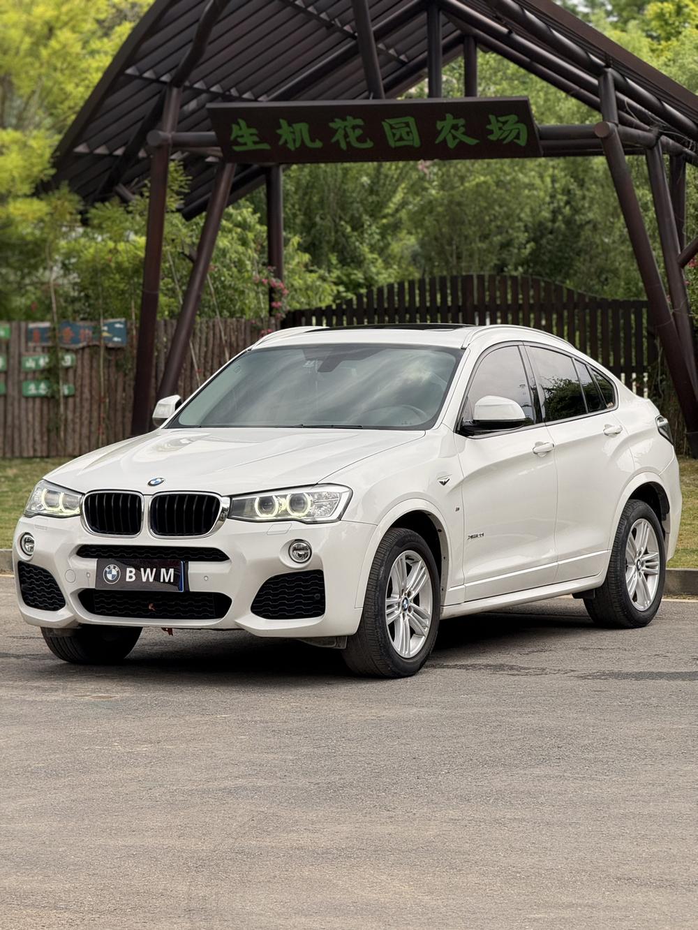 BMW BMW X4