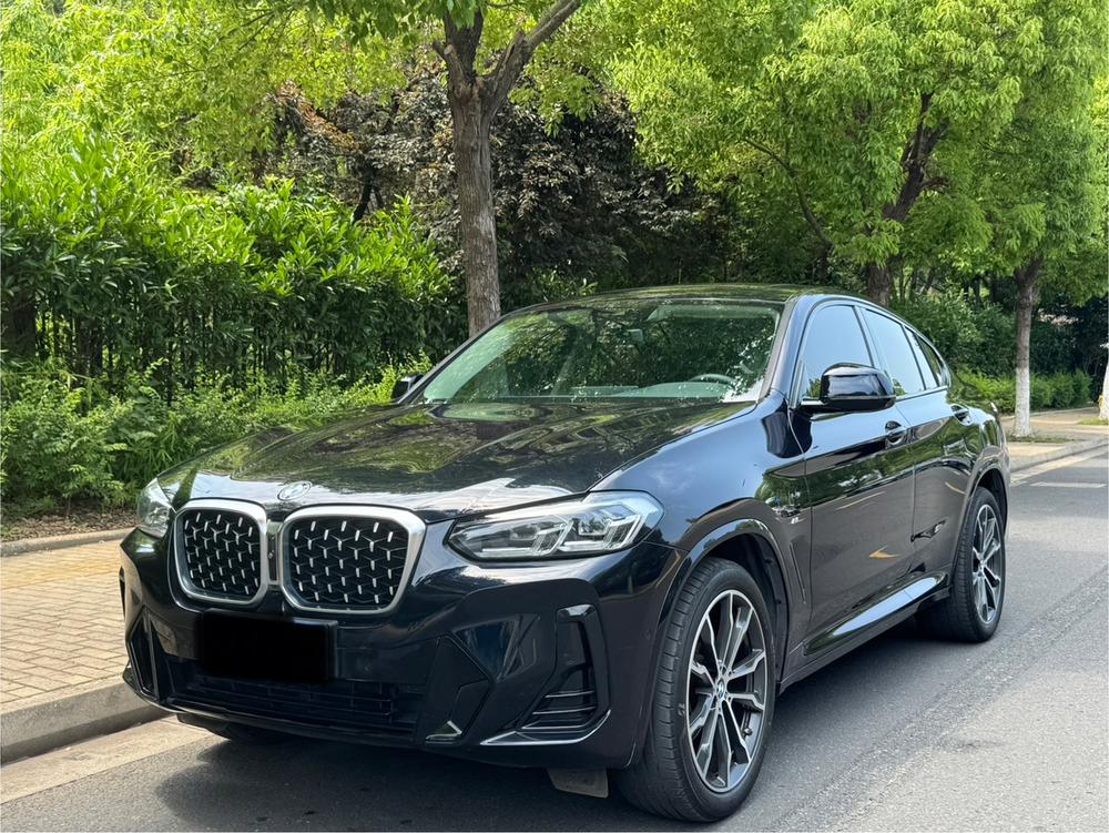BMW BMW X4