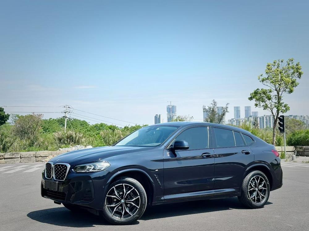 BMW BMW X4