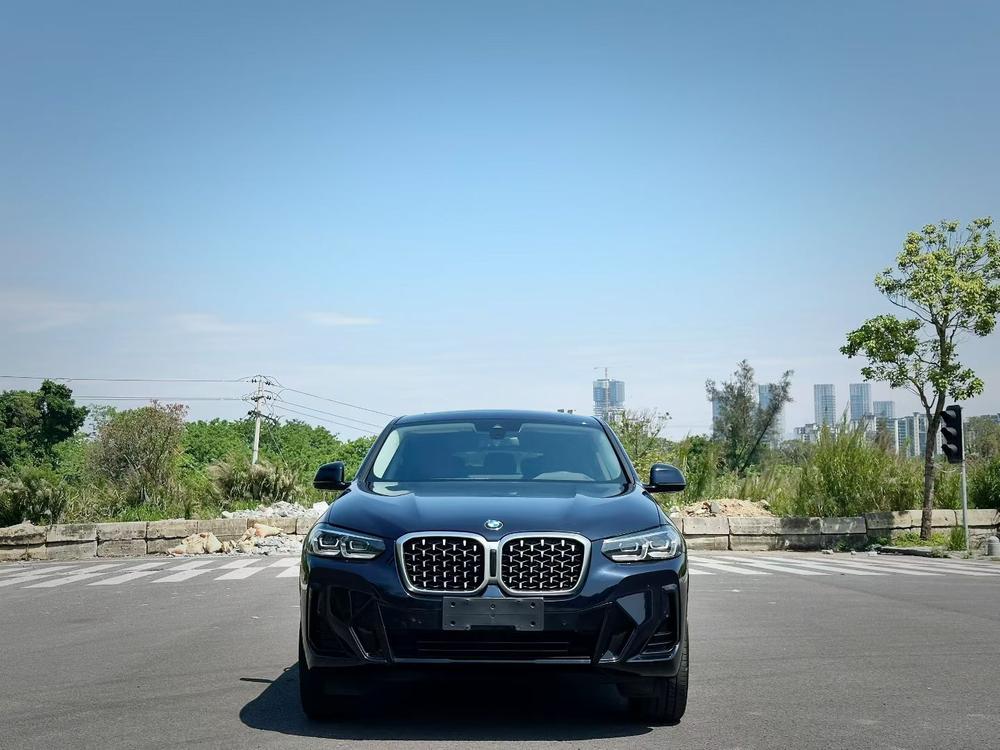 BMW BMW X4