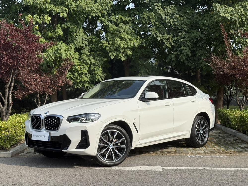 BMW BMW X4