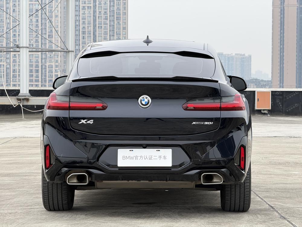 BMW BMW X4