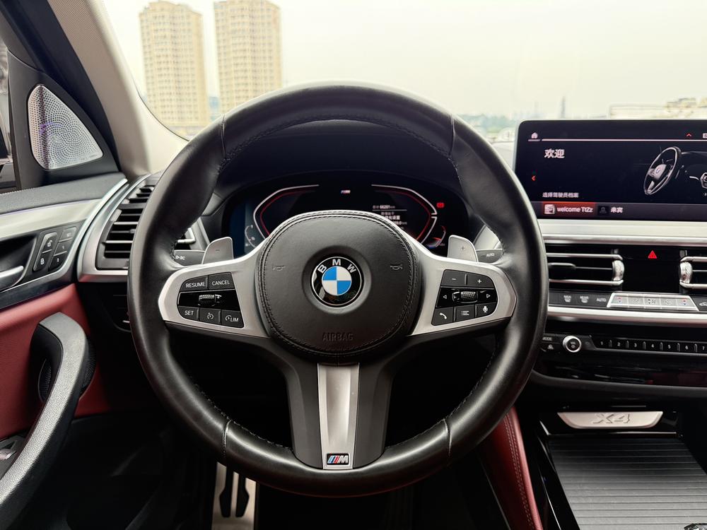 BMW BMW X4