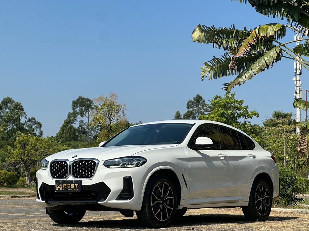 BMW BMW X4