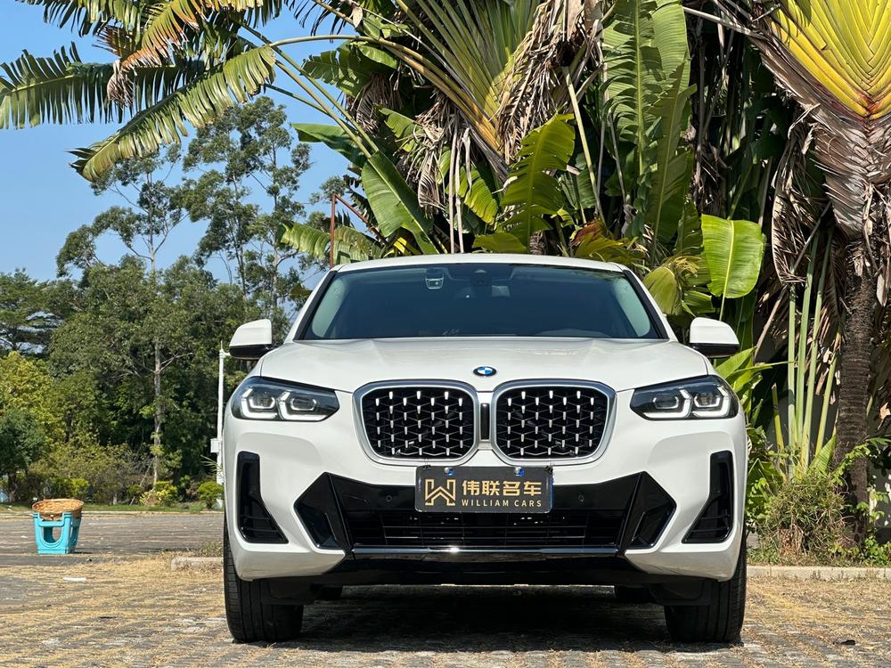 BMW BMW X4