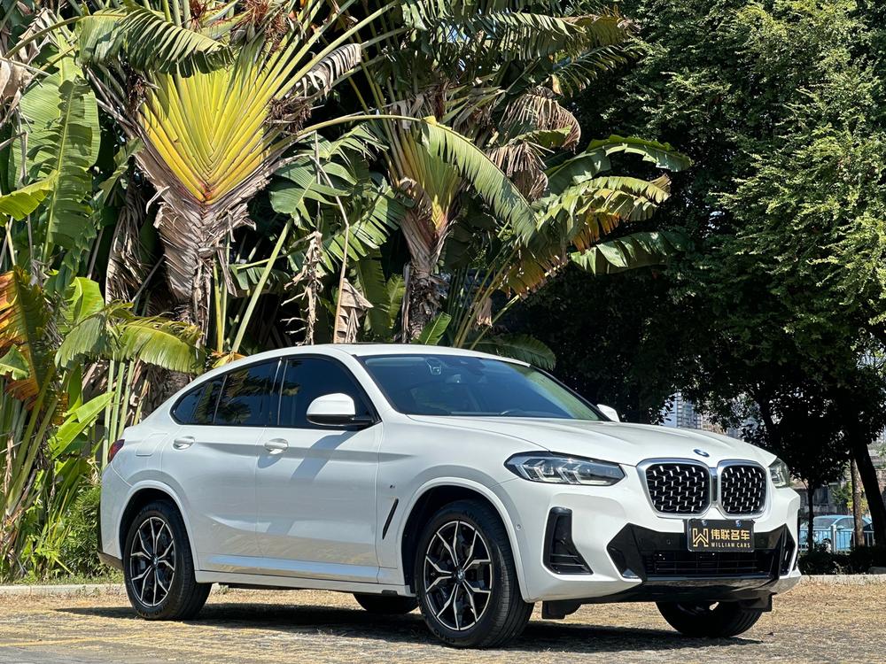 BMW BMW X4