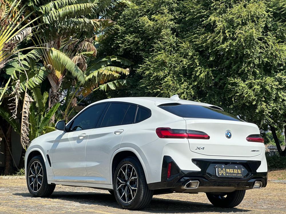 BMW BMW X4