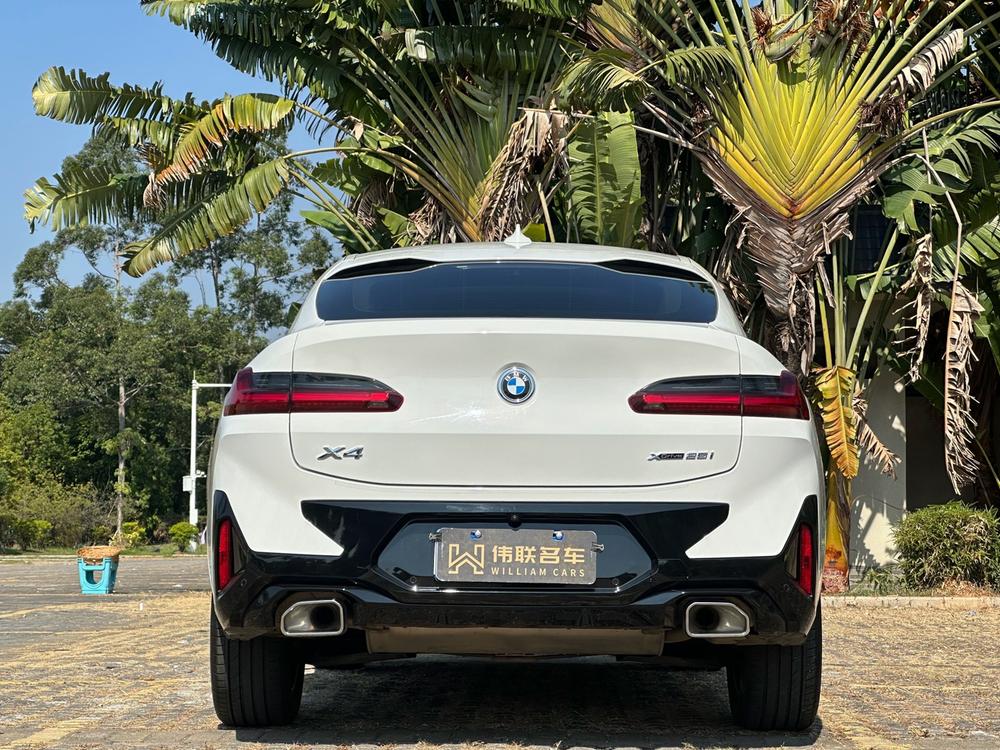 BMW BMW X4