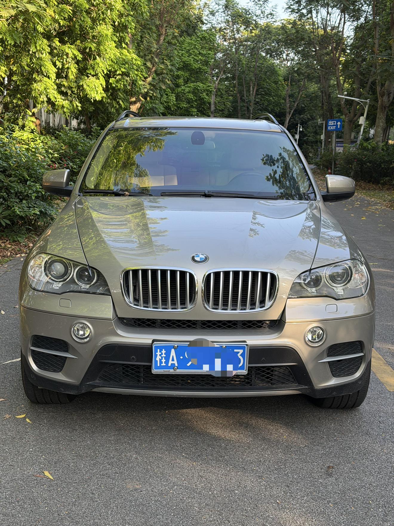 BMW BMW X5 (Import)