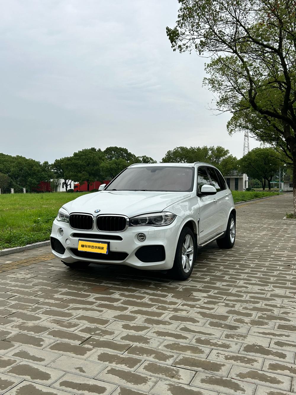 BMW BMW X5 (Import)