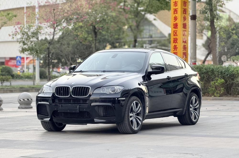 BMW BMW X6 M
