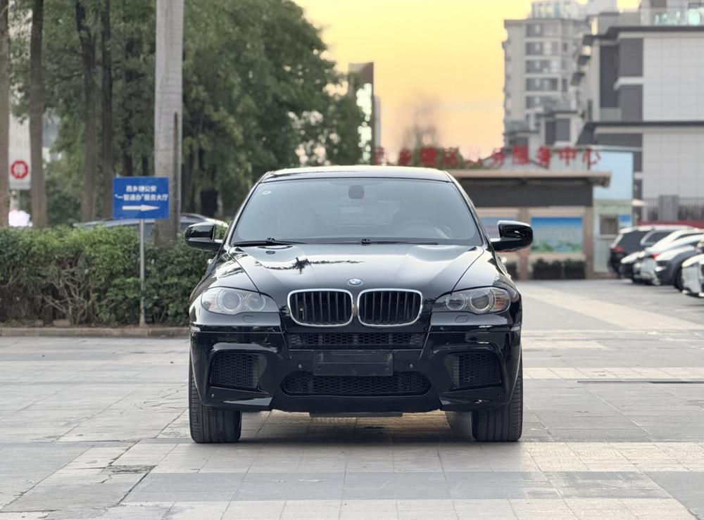 BMW BMW X6 M