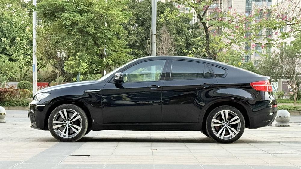 BMW BMW X6 M