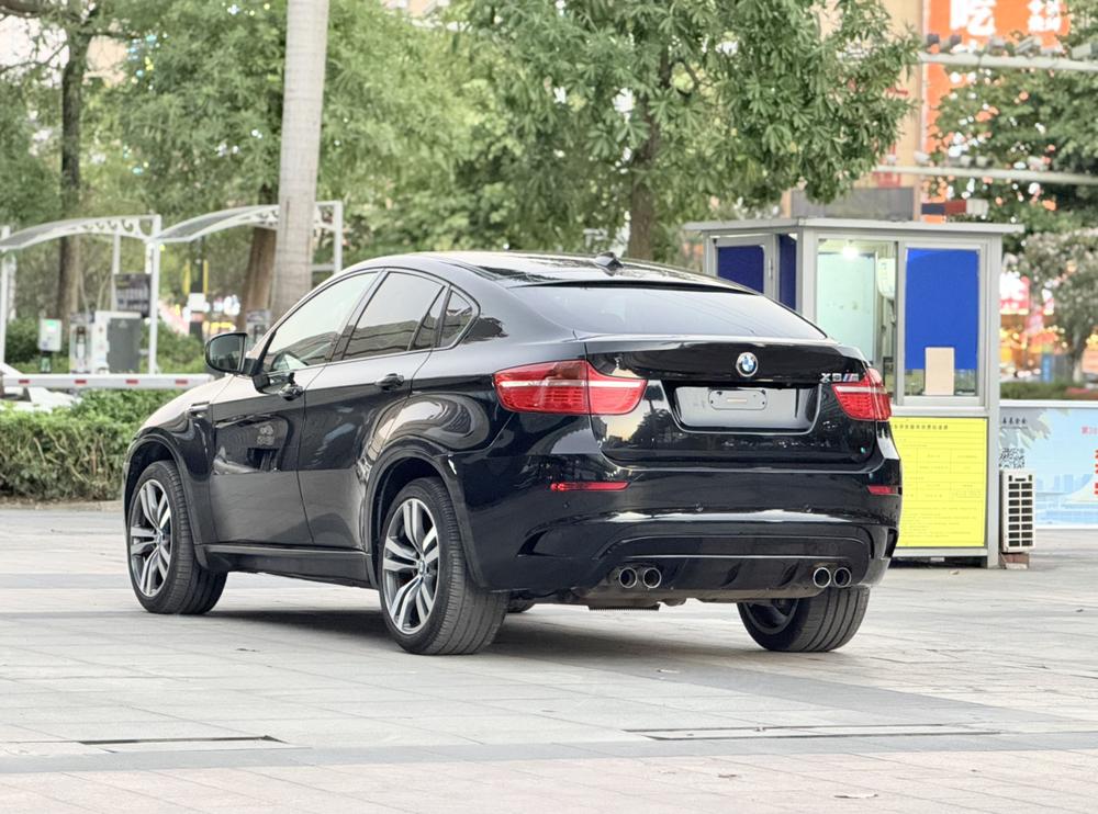 BMW BMW X6 M