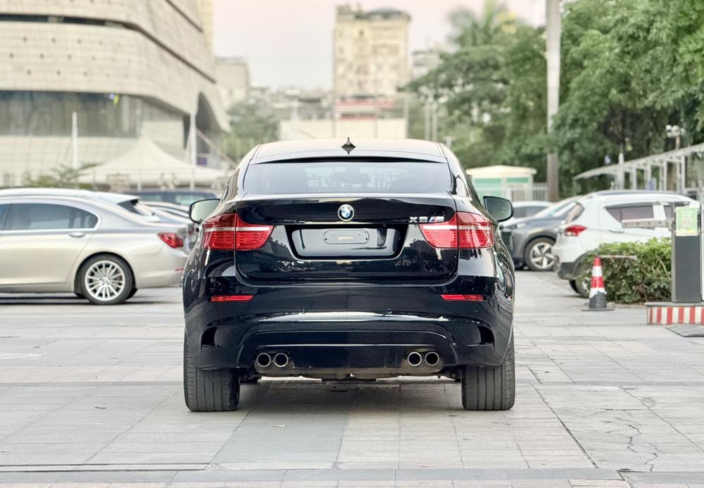 BMW BMW X6 M