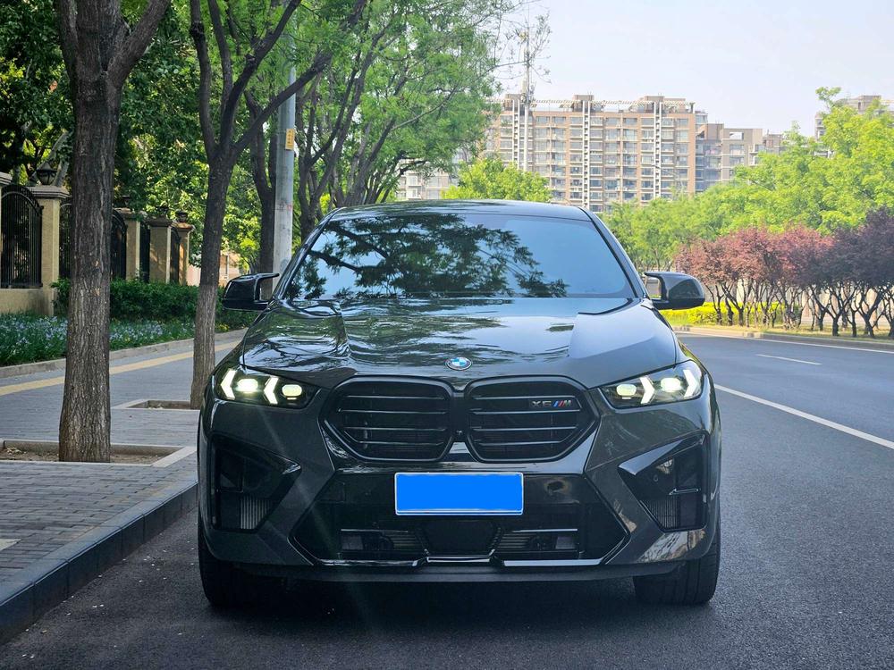 BMW BMW X6 M