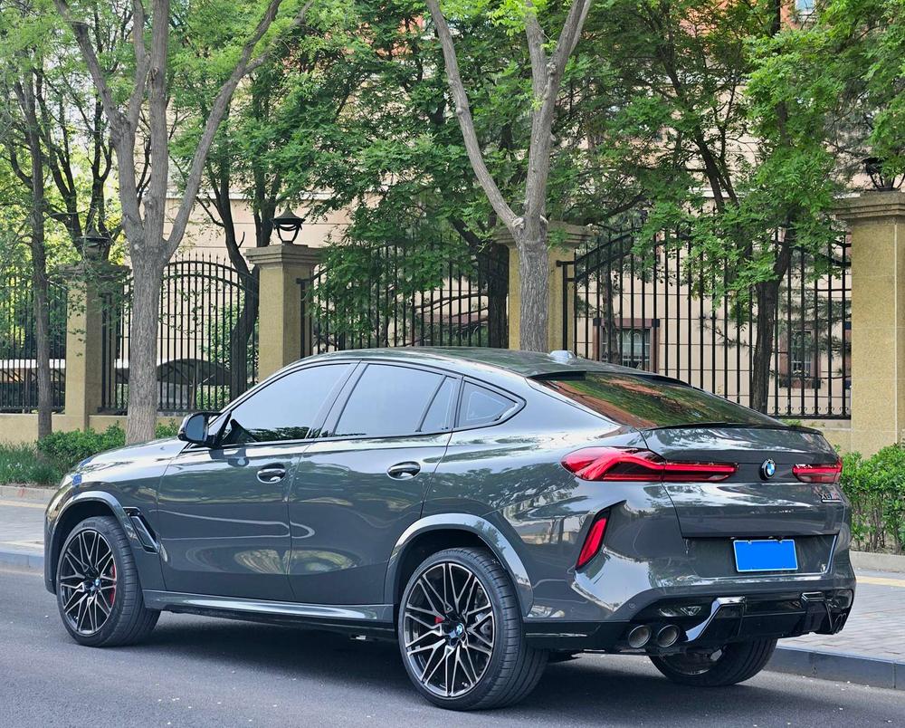 BMW BMW X6 M