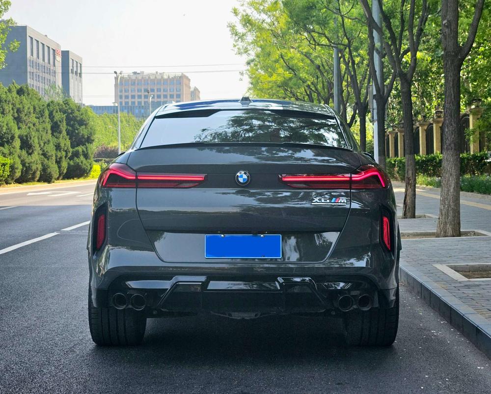 BMW BMW X6 M