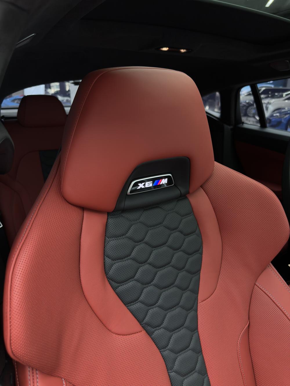 BMW BMW X6 M