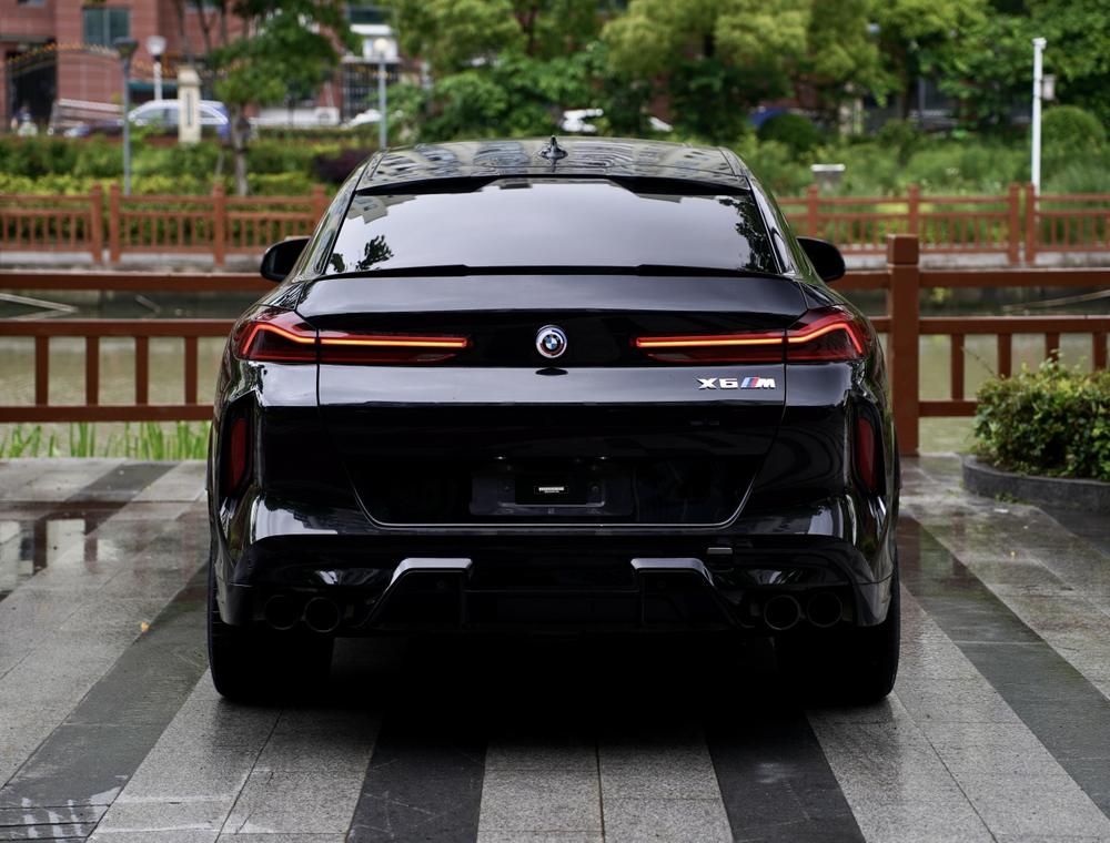 BMW BMW X6 M